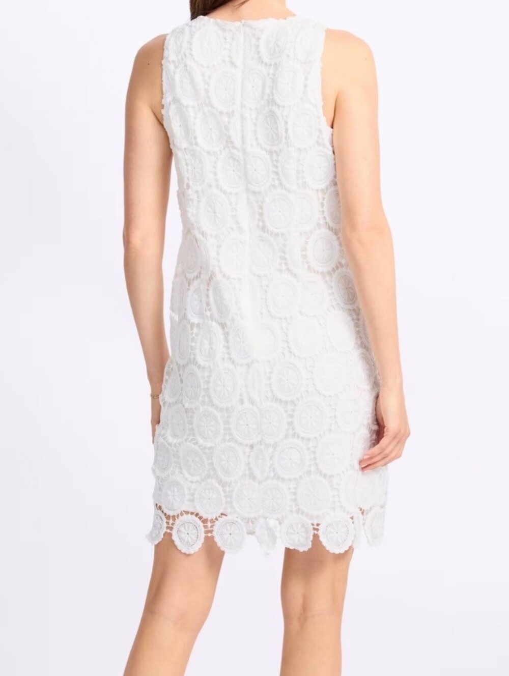 Maggy London Petite White Lace Dress - Picture 6 of 6